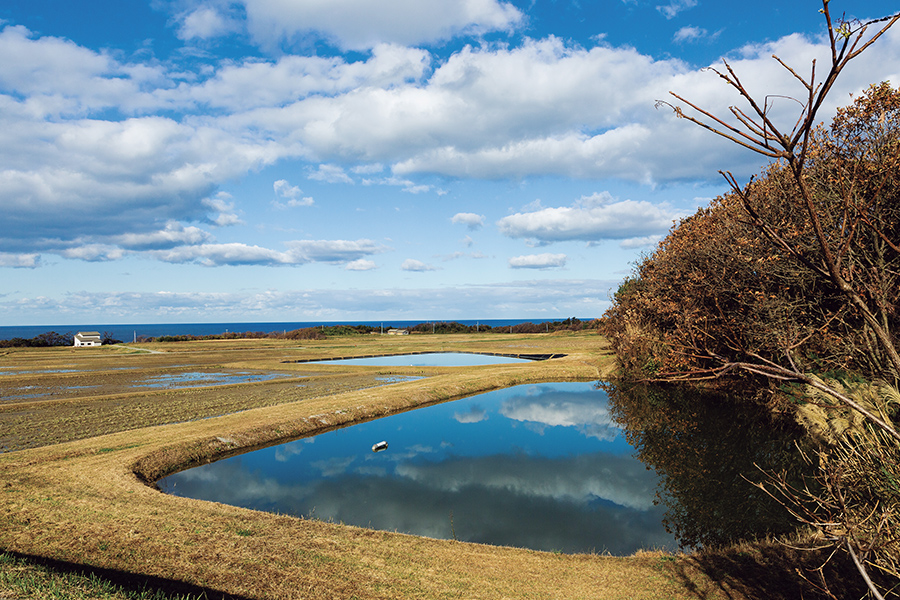 佐渡には稲作のためにつくられた溜池が無数にある（七浦海岸・橘地区）