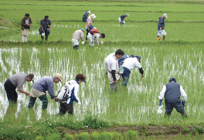 農家による「生きもの調査研修会」