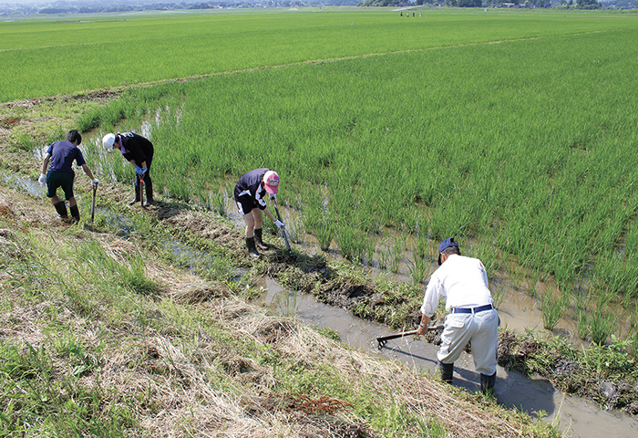 生きものの生息環境を確保する「江」の補修