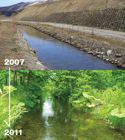 多自然魚道の施工時と4年後の様子。違いは一目瞭然だ 提供：美利河ダム管理支所