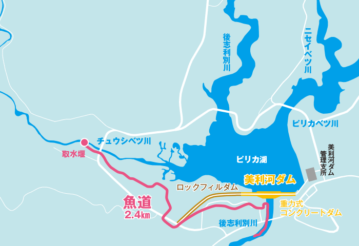 国土地理院基盤地図情報「北海道」、および美利河ダム管理支所提供の資料より編集部で作図