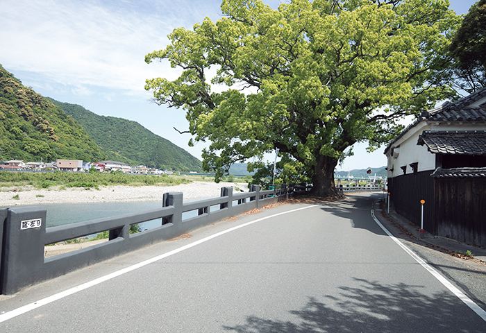 たつの市の中心部にある左岸の畳堤。欄干のようになっているので、川の景色と調和している