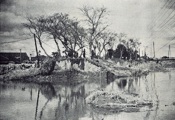 1947年9月のカスリーン台風で決壊した中川堤防（提供：葛飾区）