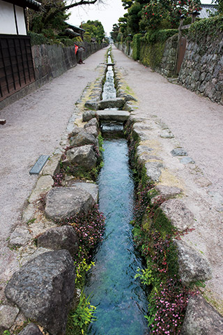 町筋の中央を水が流れる島原城の武家屋敷。温泉熊野神社を水源とし、水奉行の管理のもと飲料水として使っていた