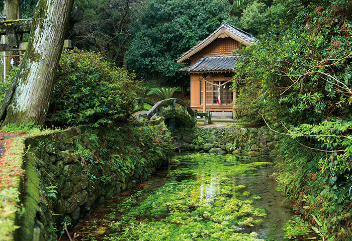 雲仙岳からの湧水が湧く江（恵）里神社。湧水量は1日1万3000トンとされる