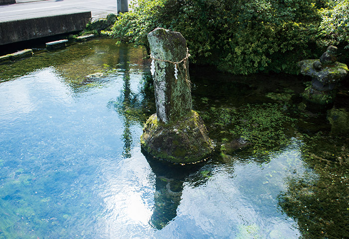 石碑が建てられている宇土出口湧水。かつて野菜を育てる農家の人たちがここで水を汲んでは軽トラックに積んで畑まで運んだという