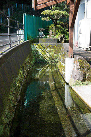 本村商店の敷地内にある湧水と水神の石碑