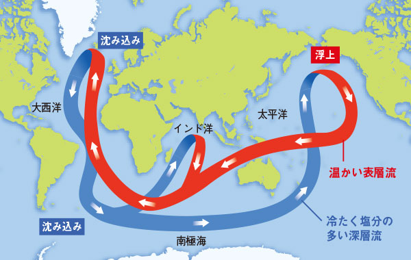 図2 海のベルトコンベア