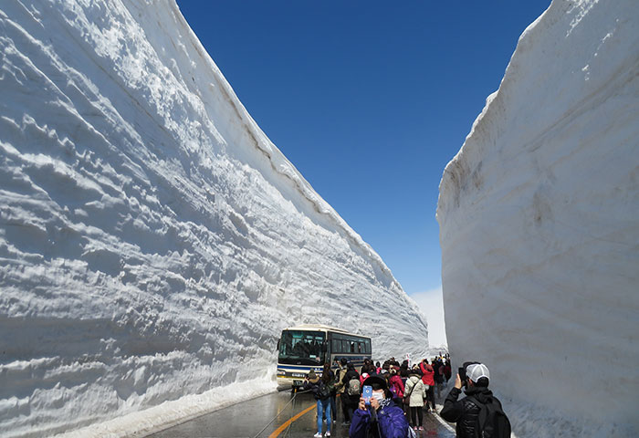 圧倒的な降雪量がもたらす観光名所「雪の大谷・雪の壁」。毎年4月中旬から6月中旬まで楽しめる（撮影：川瀬宏明さん）
