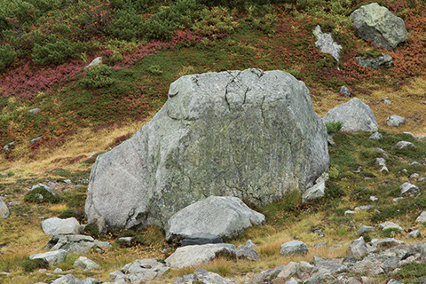 氷河がかつて運んできた迷子石。山崎カールのなかにある