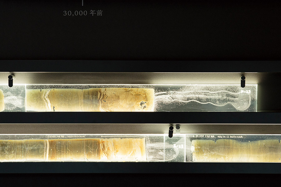 水月湖の年縞。春から秋にはプランクトンの死骸など有機物が堆積するので暗い色、晩秋から冬には鉱物質が堆積して明るい色になり、縞が1年ごとに認識できる