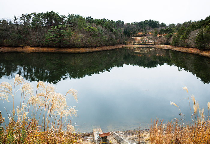 上山地区の棚田を潤す溜池「大芦池」