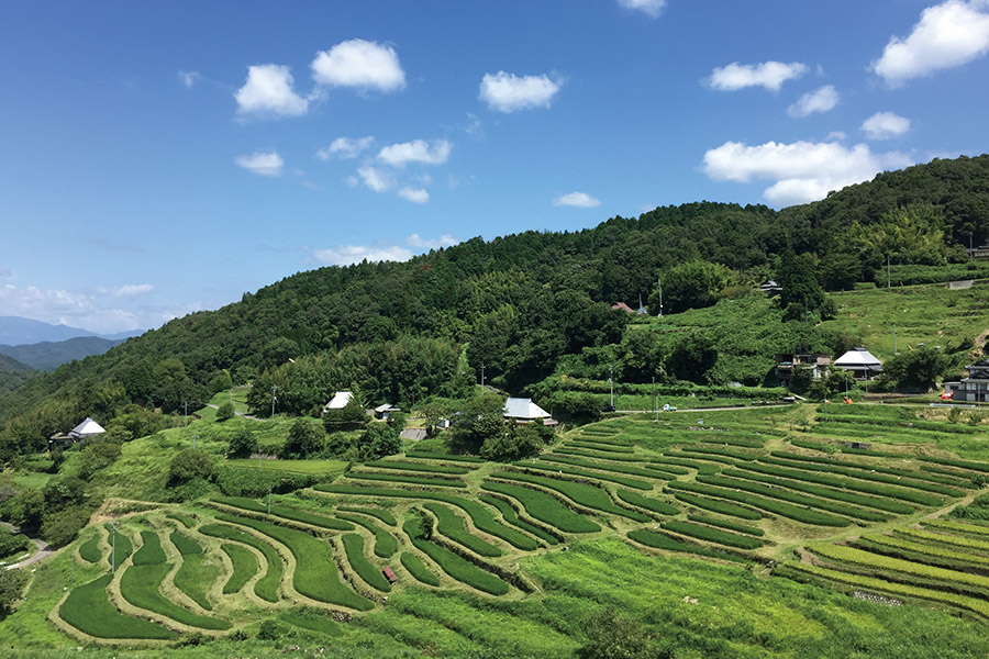 棚田が蘇った美作市・上山地区（提供：認定NPO法人英田上山棚田団）