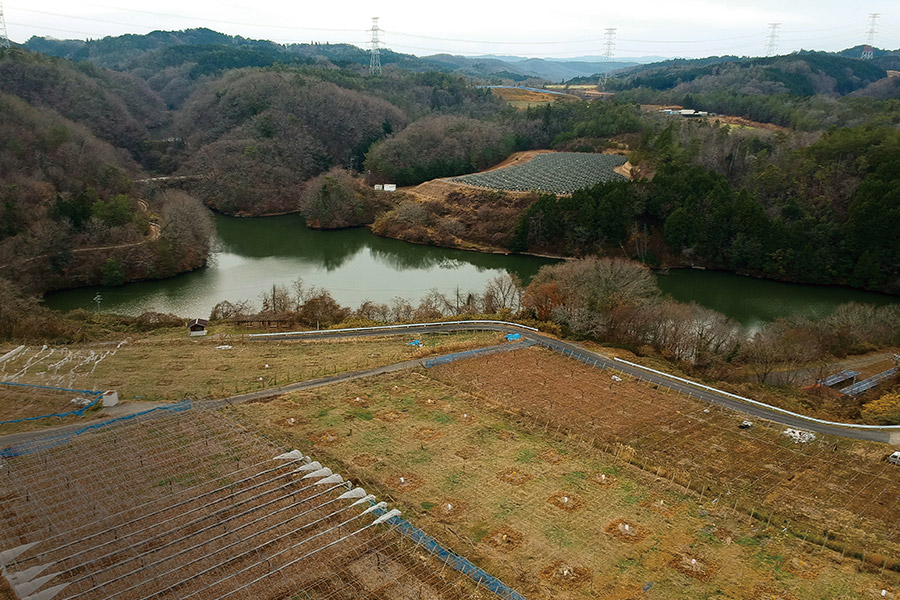 溜池の水をぶどうの栽培に活かす久米南町・山手集落