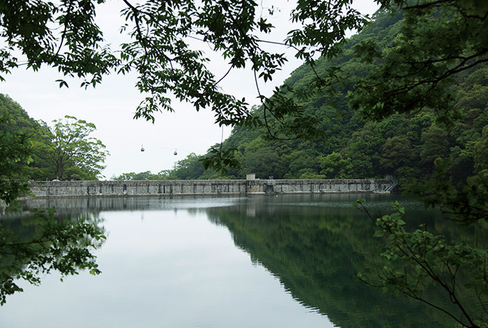 水を湛えた布引貯水池。「分水堰堤」「締切堰堤」「放水路トンネル」による濁水を仕分けするシステムで水質が保たれている