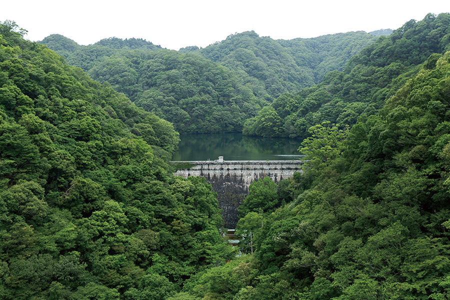 神戸布引ロープウェイから見た布引貯水池。この日本最古の重力式コンクリートダムが神戸港の水源だった