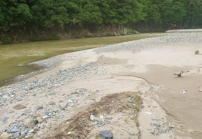 広島県西部を流れる太田川の支流「三篠川（みささがわ）」。中国地方の河川は砂が多い。また、子どもの水辺での活動が盛ん（提供：知花武佳さん）