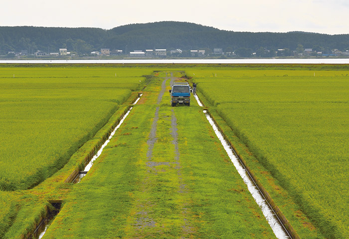 岩木川の下流域に広がる水田地帯。江戸時代中期から開拓が続けられた