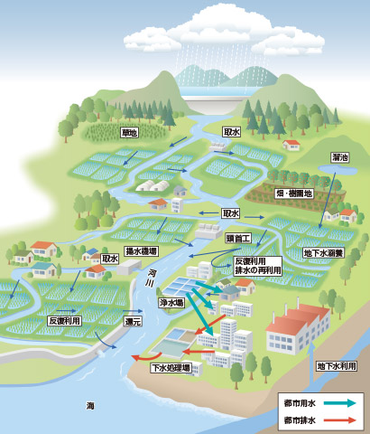水田を含む水循環の模式図（日本の例）