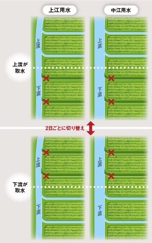 渇水時に行なう「番水」のイメージ