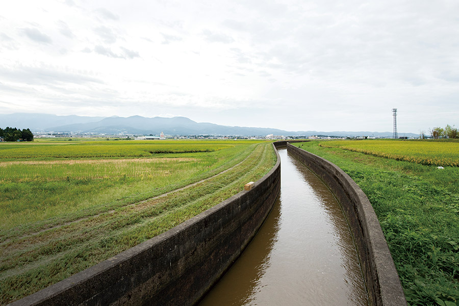 上江用水路からの水を用いて穀倉地帯となった高田平野