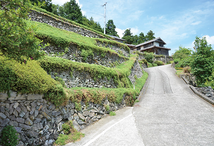 徳島県吉野川市美郷（みさと）大神にある高開（たかがい）集落の「高開の石積み」。石積みでつくられた段畑を見て回れるようルートが整備されている。石積みに長けた地元の人が指導役となり、技の継承を図っている