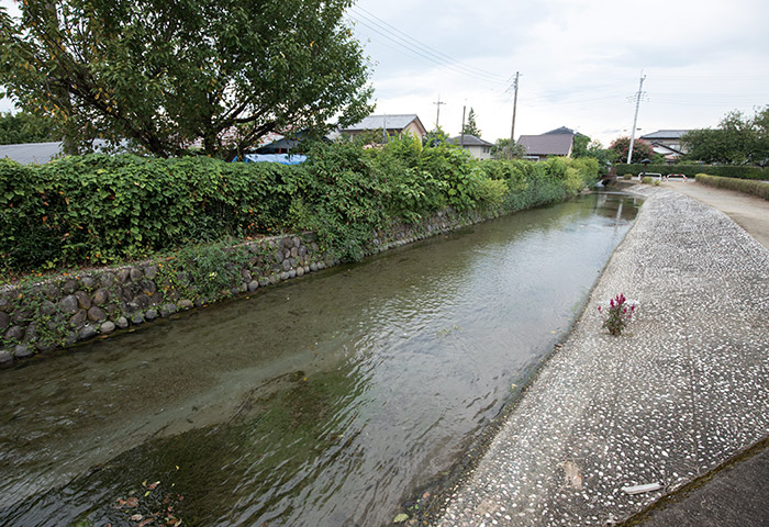 雄川から引き込んだ用水の軸となる大堰（おおぜき）。このような親水広場や遊歩道がところどころ整備されている