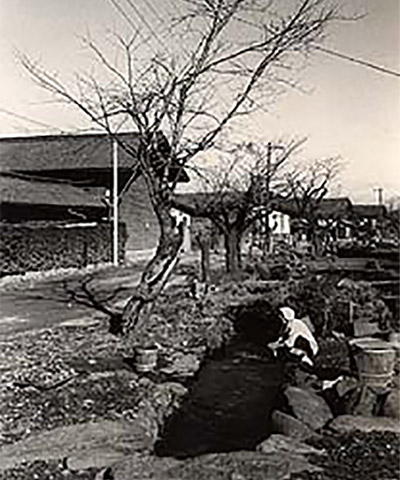1960年（昭和35）ごろ、雄川堰で洗い物をする女性