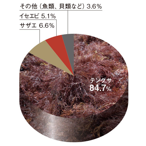 伊豆漁業協同組合土肥支所 2019年水揚げ金額構成比