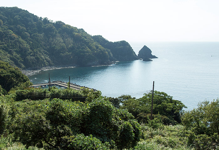 美しい西伊豆の海岸。小下田地区米崎港を望む