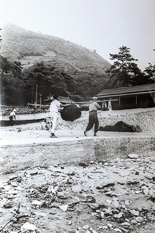 昭和30年代の雲見集落。住民総出でテングサを採り、塩抜きして出荷し、生活が豊かになったという