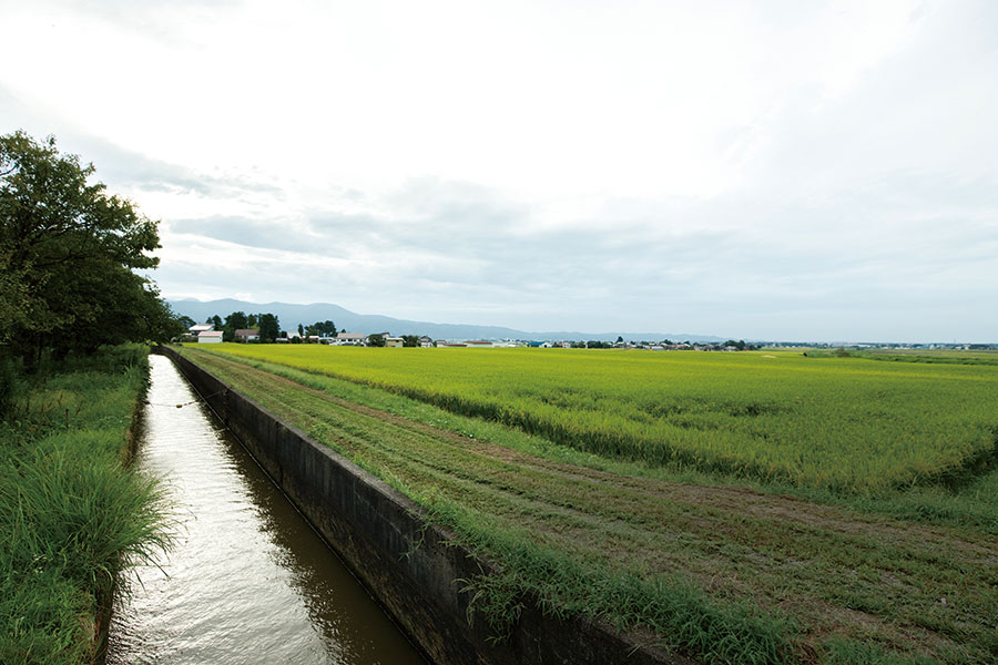 農民たちが掘り継いだ「上江用水路」によって穀倉地帯となった高田平野（撮影：川本聖哉）
