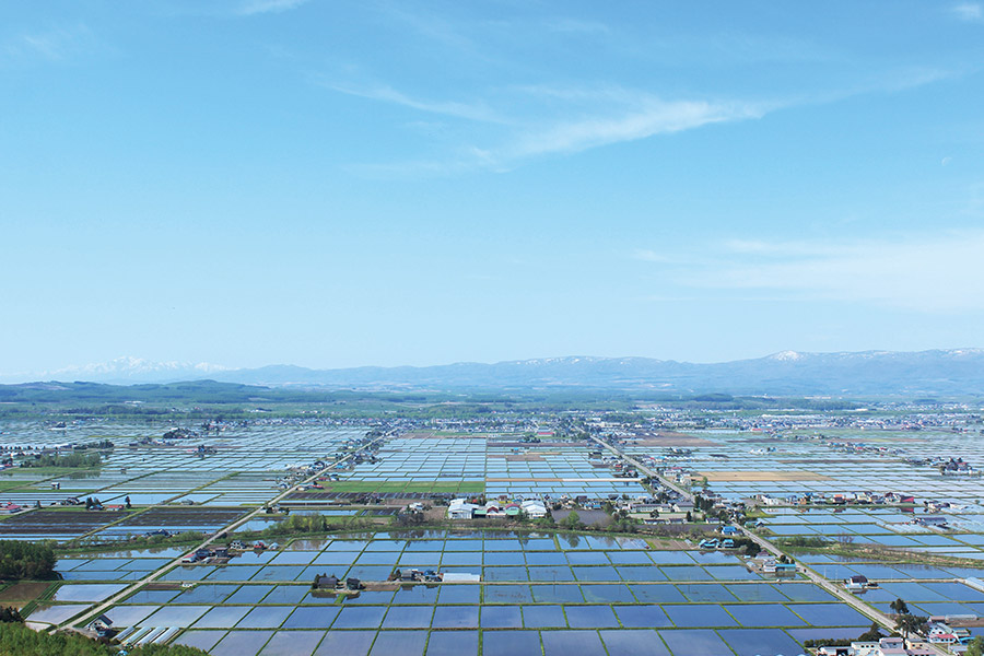 田植えが始まるまでの短い期間、無風の日にしか見られない東川町の絶景「鏡面水田」 提供：東川町