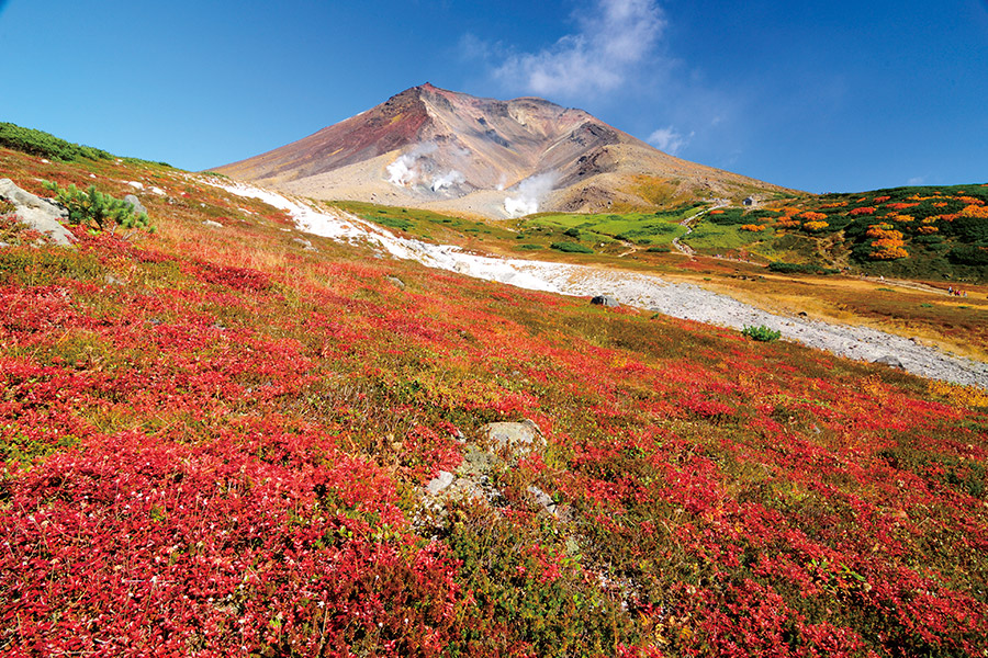紅葉が美しい秋の旭岳。北海道でもっとも高い山で「日本の百名山」にも選ばれている（提供：東川町）