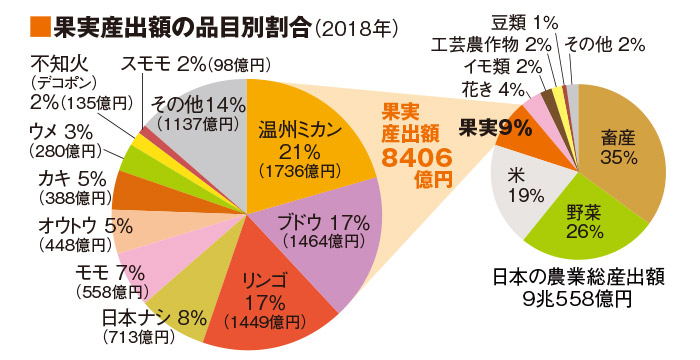 果実産出額の品目別割合（2018）