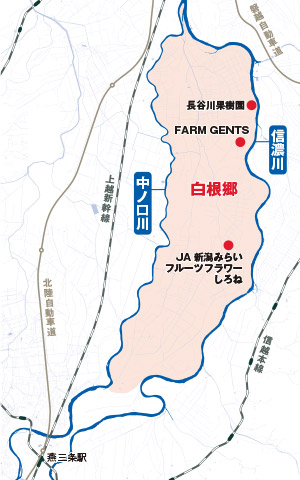 信濃川と中ノ口川に囲まれた輪中地帯にある白根郷