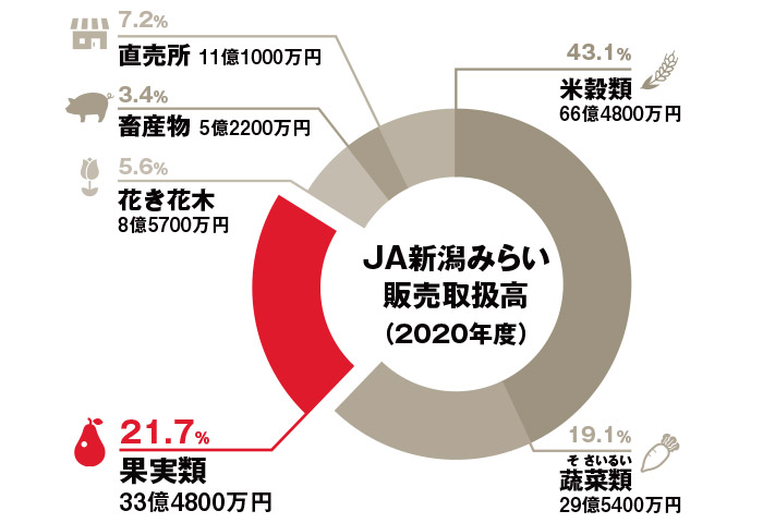 JA新潟みらい販売取扱高（2020年度）