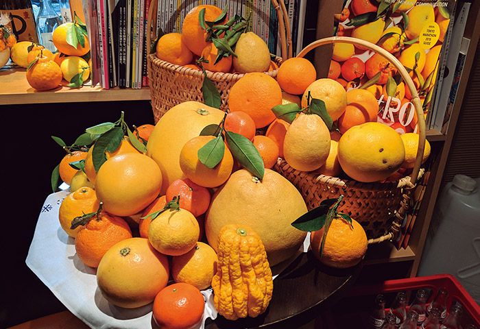 国内外の柑橘類をデコレーション