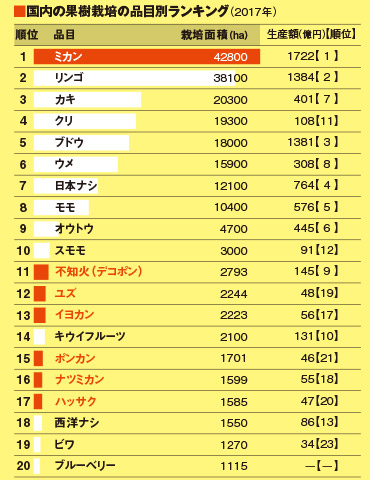 ミカンをはじめとする柑橘類が多く、21位以下にも清見、タンカン、カボス、文旦などが入っている