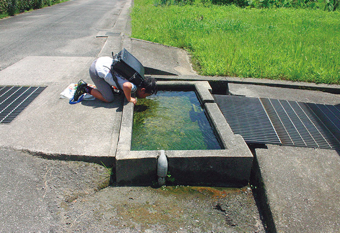 愛媛県西条市の自噴井〈うちぬき〉の水を飲む下校中の小学生（2012年7月）　提供：野田岳仁さん