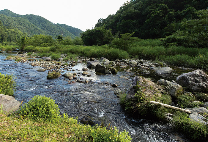 現在の「佐波川関水」。関水はかつて約118築かれたとされるが、現存するのはこの「徳地船路（とくぢふなじ）」のみ