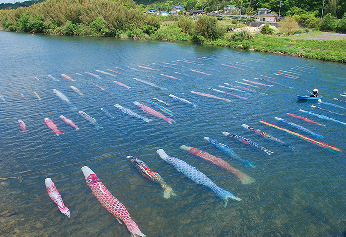 120匹の鯉のぼりが泳ぐ「佐波川こいながし」。コロナ禍前は毎年ゴールデンウイークに実施していた