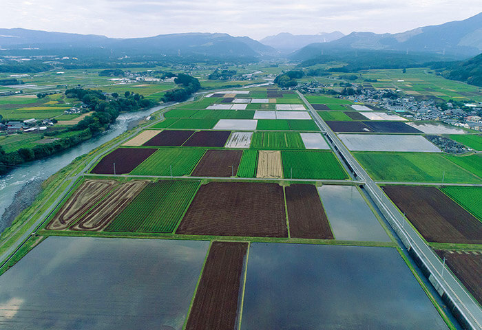 地下水を涵養するために休耕田などに水を張る白川中流域の風景