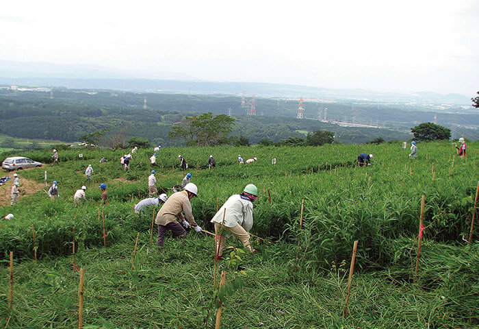 森林ボランティアによる水源涵養林の下草刈り　提供：熊本市