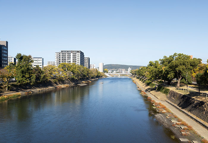 白川夜市の会場でもある白川の「緑の区間」