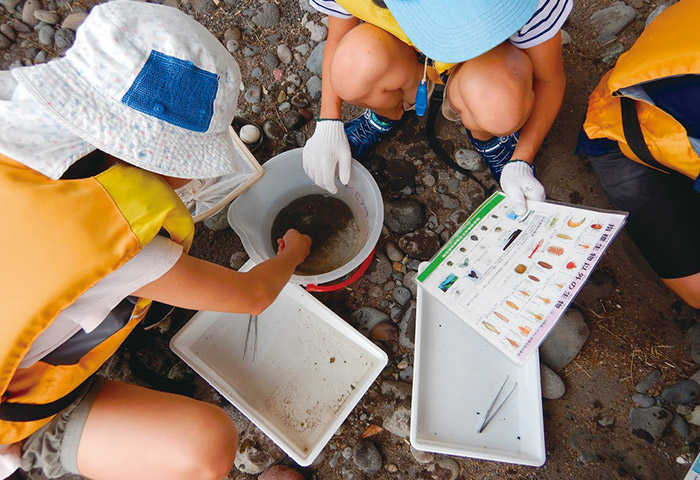 白川流域リバーネットワークが白川で行なう子どもたちの「水生生物研究」