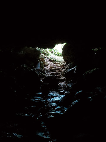 洞窟の中から見た入り口
 提供：須山聡さん
