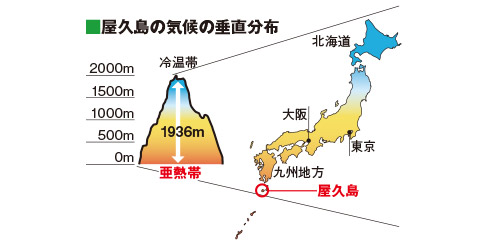 屋久島の機構の垂直分布出典：屋久島町役場 観光まちづくり課発行『屋久島&口永良部島総合旅情報』（p.5）を参考に編集部作成