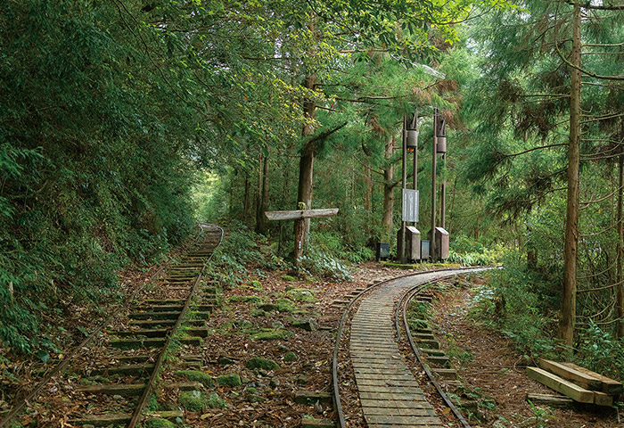 荒川登山口から縄文杉に向かうには、このトロッコ軌道を片道約8km歩く