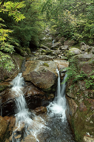 登山道の脇にある沢。歩いていてのどが渇いても飲み水に困ることはない